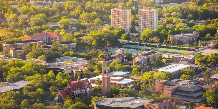 admission to university of florida